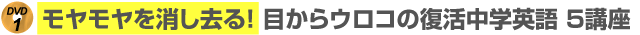 モヤモヤを消し去る! 目からウロコの復活中学英語